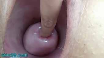 German Bdsm Video Features Intense Insertion With Nettles And Rod Flowers