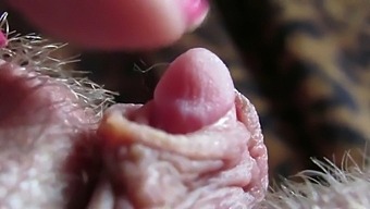 Intense Close-Up Of My Pulsating Clitoris Tip