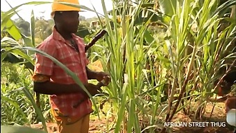 Experience A Unique Rendezvous With An Unfaithful Woman And Her Neighbor In A Field, Leading To A Daring Outdoor Romp On An African Dirt Road